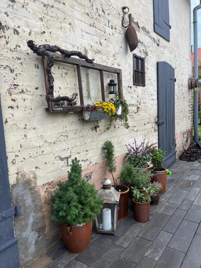 Wanderer Unterkunft Am Hexentanzplatz O Thale Exterior photo